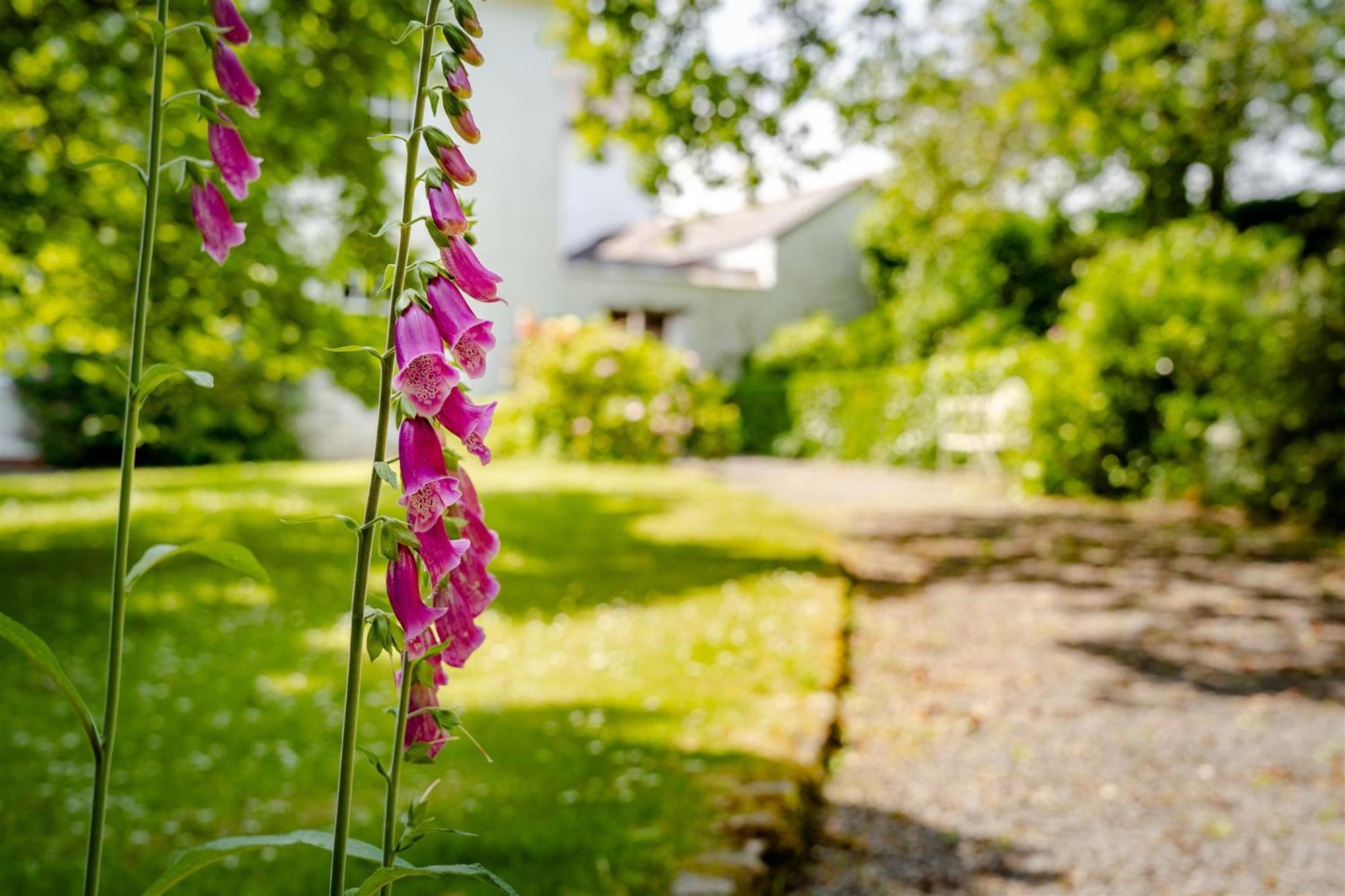 Enchanted Retreats At West Ford Devon South Molton Zimmer foto